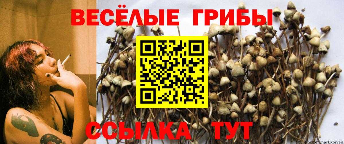 Бийск  Галлюциногенные грибы GOLDEN TEACHER  Вход с VPN  Галлюциногенные грибы мухоморы 