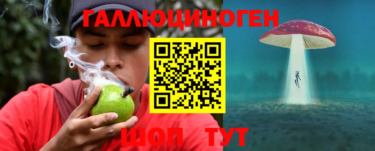Псилоцибиновые грибы Psilocybe Бийск